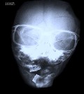 Universal Pictures realiza una acción pionera en el buscador Gennio