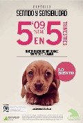 La campaña Sentido y Sensibilidad de Caja Madrid, la más eficaz del año