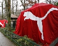 Puma se presenta como un nuevo animal en el zoo