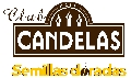 La web de la promoción Semillas Doradas de Café Candelas registra más de 20.000 visitas