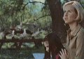 Calvo recrea “Los Pájaros” en su nueva campaña de televisión