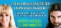 Hotelonia.com utiliza el buzz y la viralidad para darse a conocer
