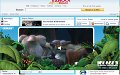 Caso de Ice Age 3 en Yahoo!: 4,6 millones de impresiones y 22.000 visualizaciones del trailer en un día