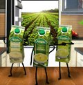 Alvalle apuesta por internet y prensa para apoyar sus cremas de verduras 