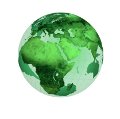 El precio, principal obstáculo a la hora de comprar productos ecológicos