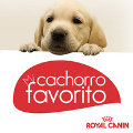Royal Canin repite estrategia en Facebook
