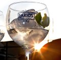 Larios lanza una ginebra premium con una estrategia multimedia