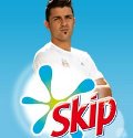skip david villa