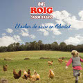 Huevos Roig presenta su campaña protagonizada por gallinas felices
