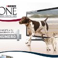 Nestlé Purina busca los protagonistas de su próxima campaña