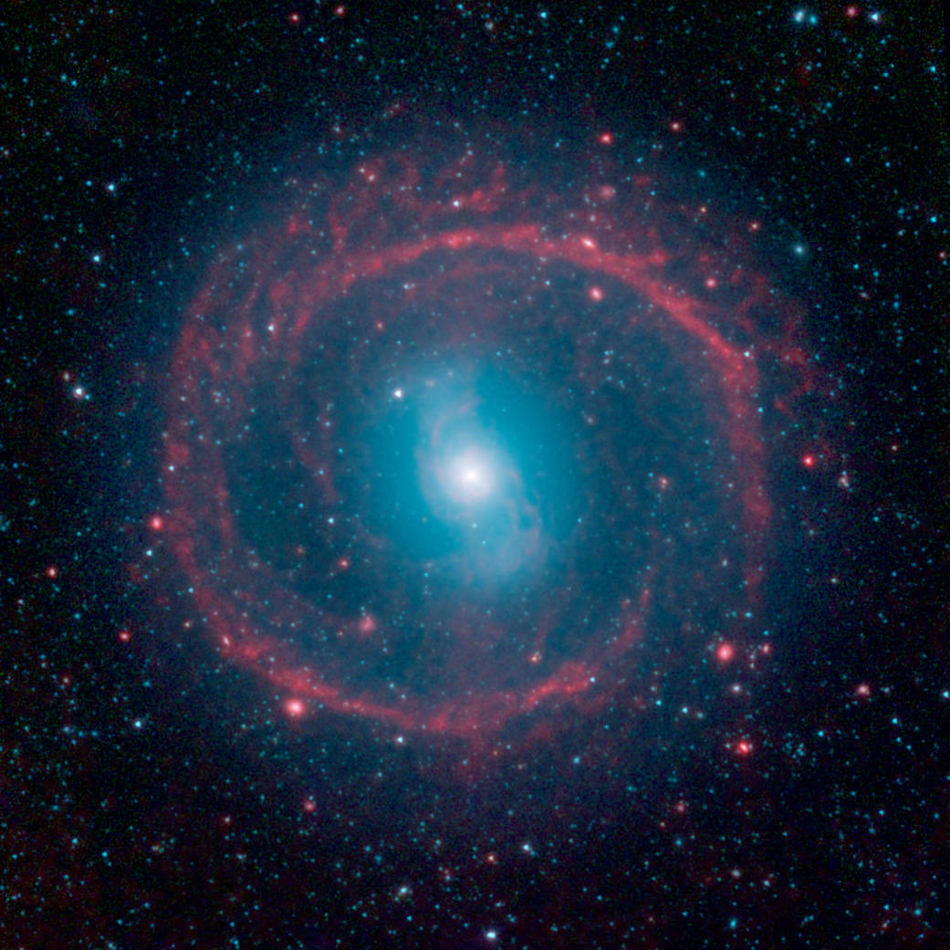 Galaxia NGC 1291. Galaxia NGC 1291.