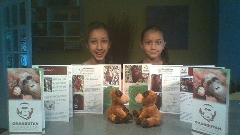 En julio las pequeñas adoptaron dos orangutanes a través de ‘Orangutan Foundation’. En julio las pequeñas adoptaron dos orangutanes a través de ‘Orangutan Foundation’.
