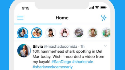 Twitter Fleets AL Marzo 2020 Twitter Fleets AL Marzo 2020
