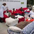 ikea ikea