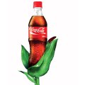 coca-cola coca-cola