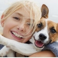 purina purina