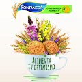 fontaneda fontaneda