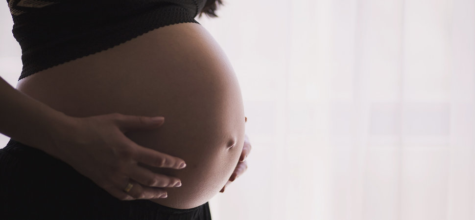 El embarazo provoca cambios en el cerebro de las madres para favorecer el vínculo con sus hijos